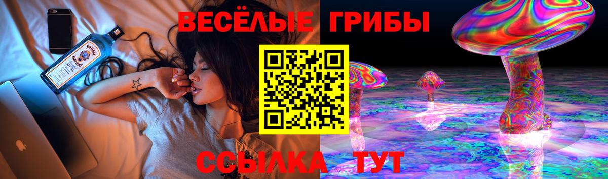 Псилоцибиновые грибы Psilocybine cubensis Верхний Уфалей