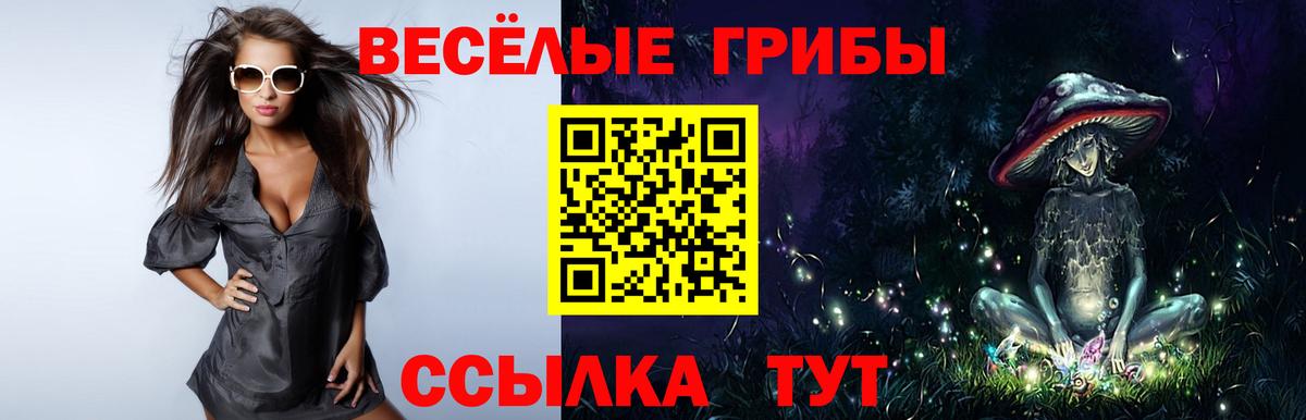 Псилоцибиновые грибы Psilocybe  Вход с VPN  Верхний Уфалей 